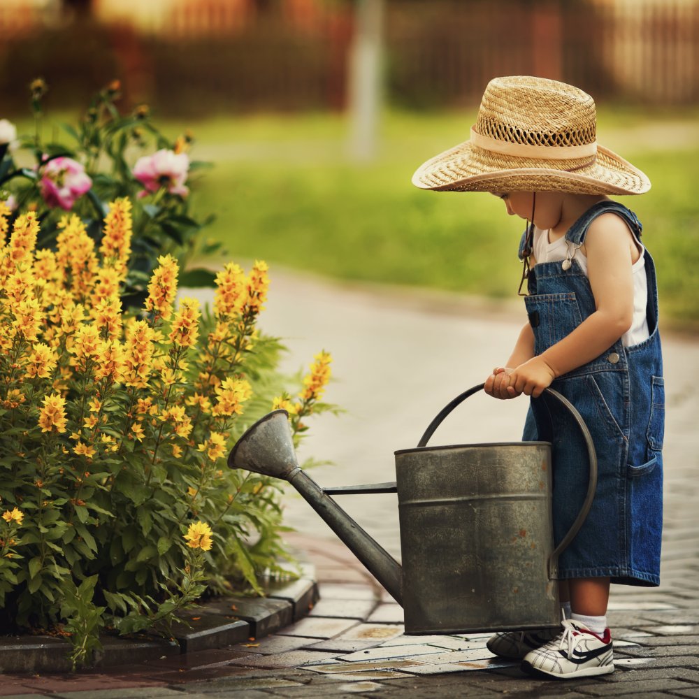 How to Properly Water Your Garden and Potted Plants