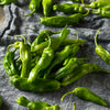 3-Piece Shishito Chile Pepper Plants - 2.5" Pot
