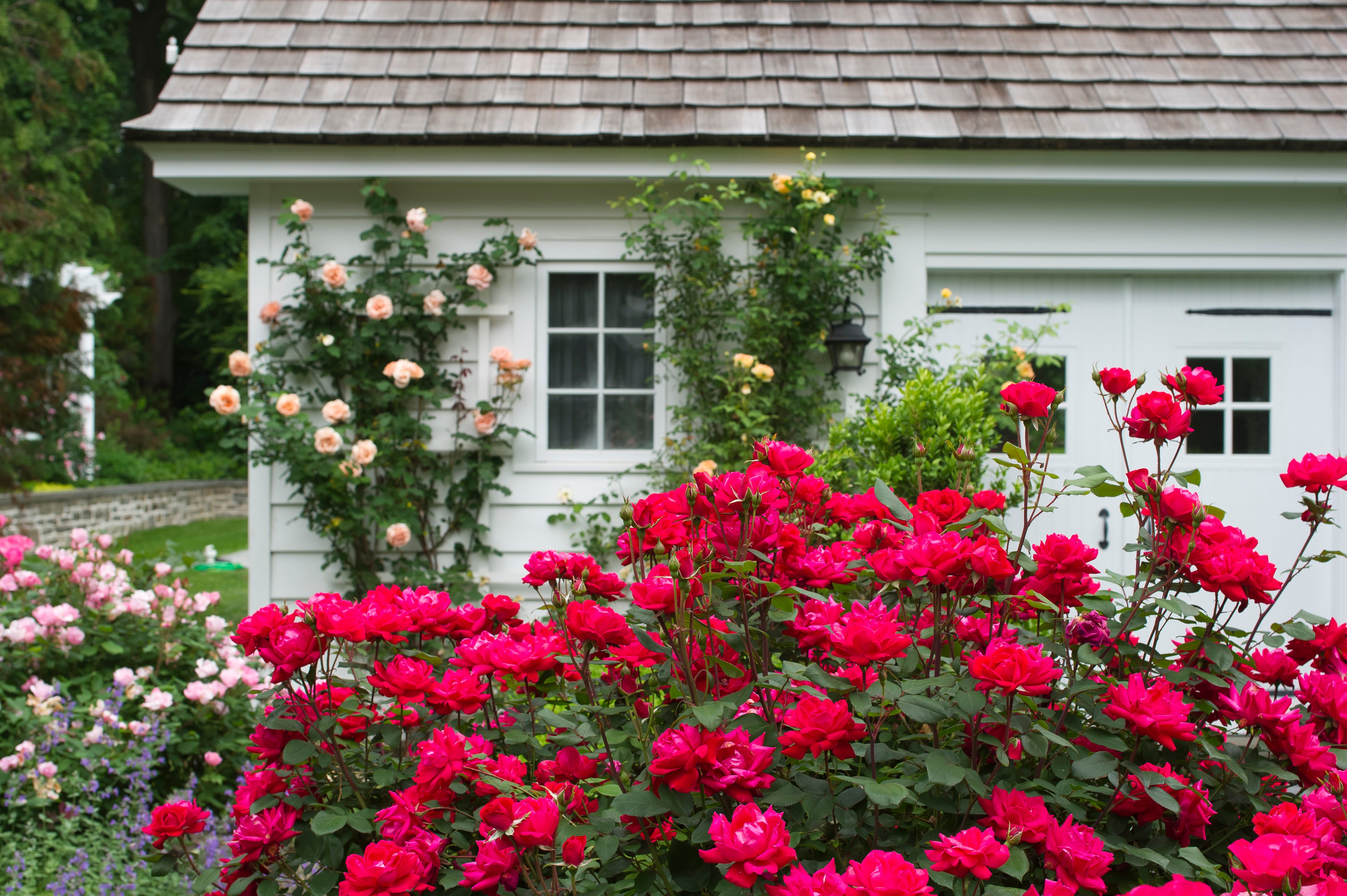 Cottage Farms Direct