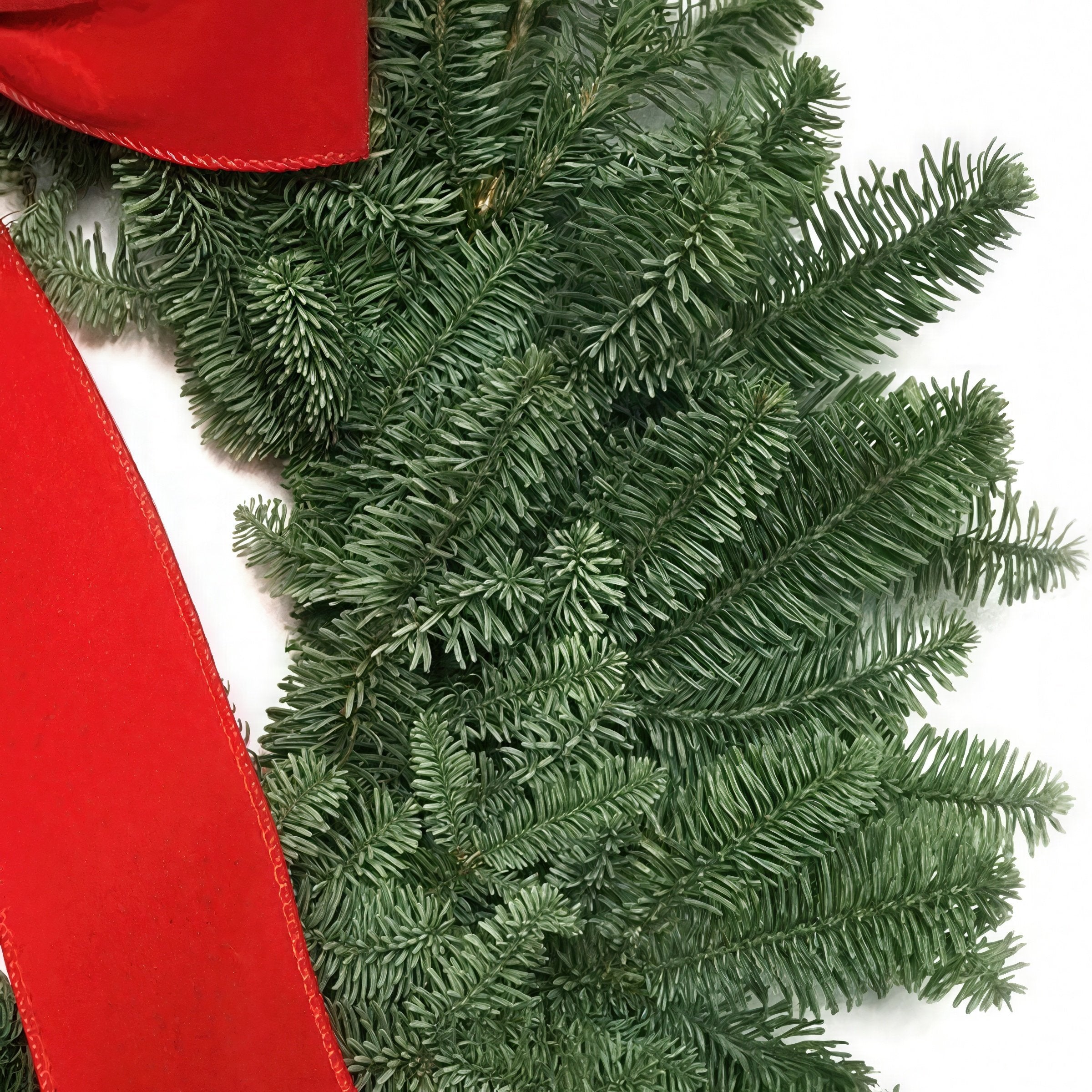 Cottage Farms Direct