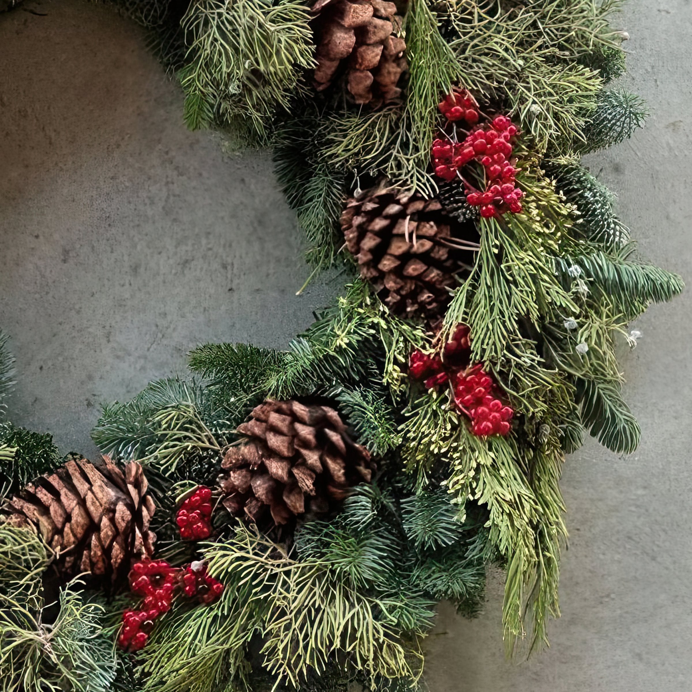 Cottage Farms Direct