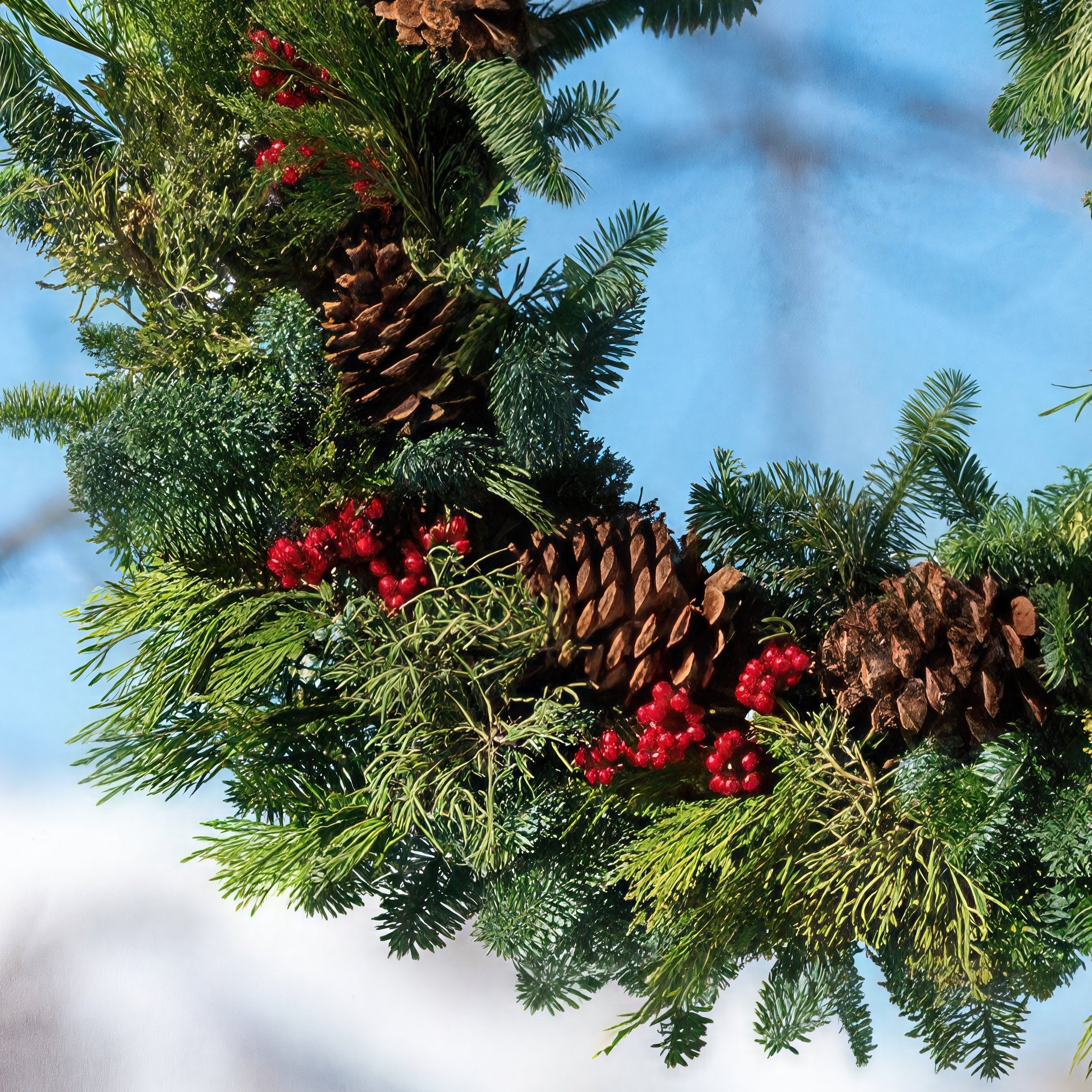 Cottage Farms Direct