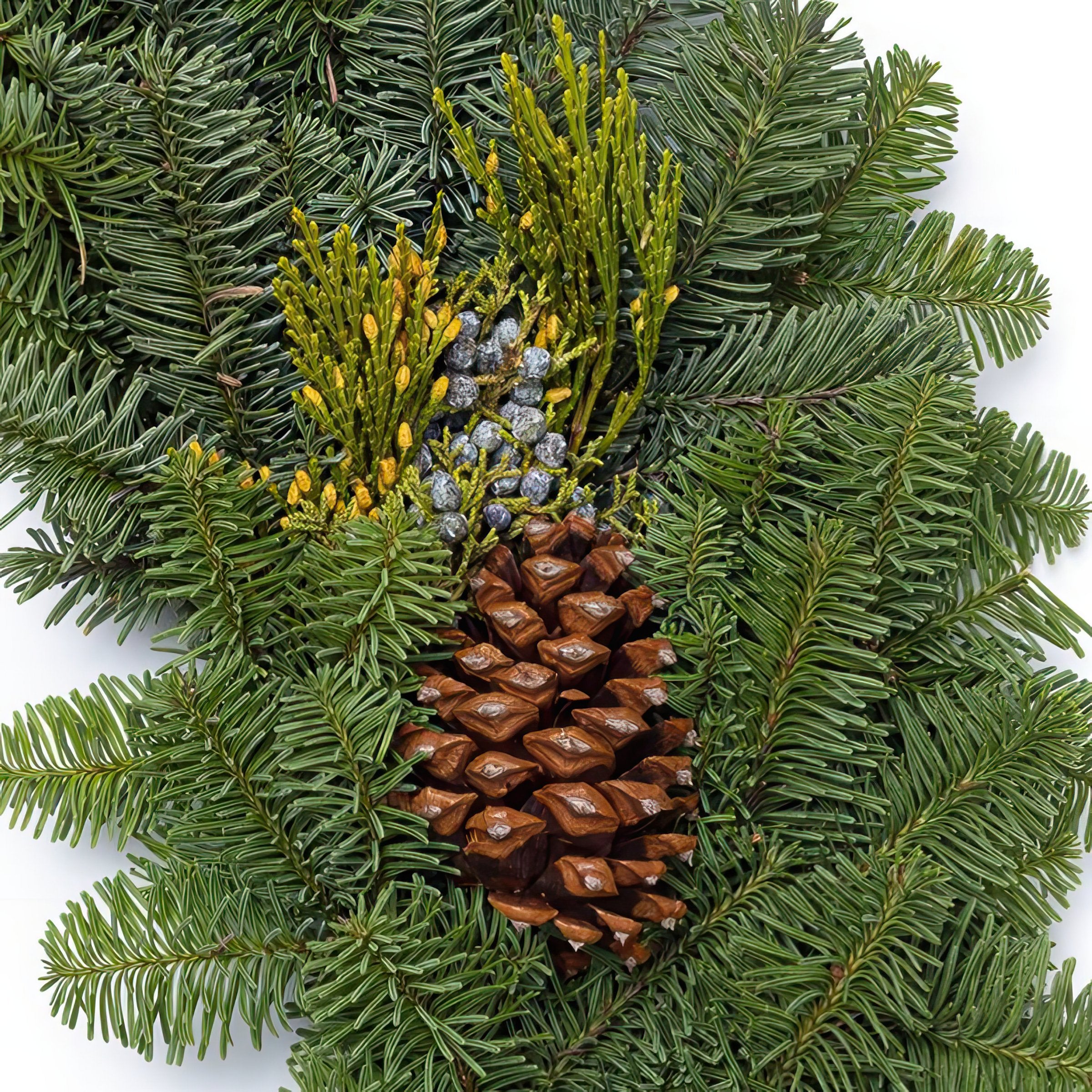 Cottage Farms Direct