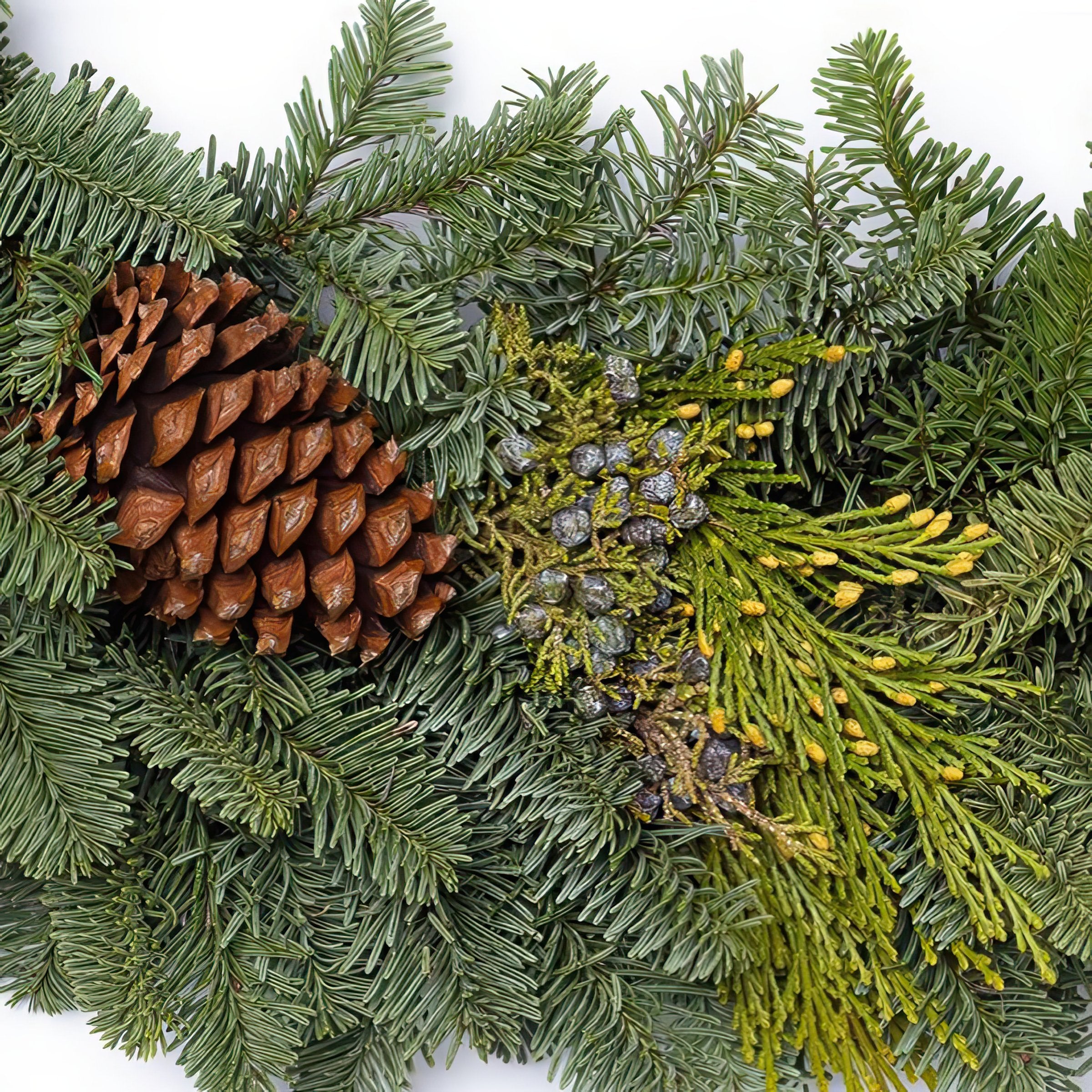 Cottage Farms Direct