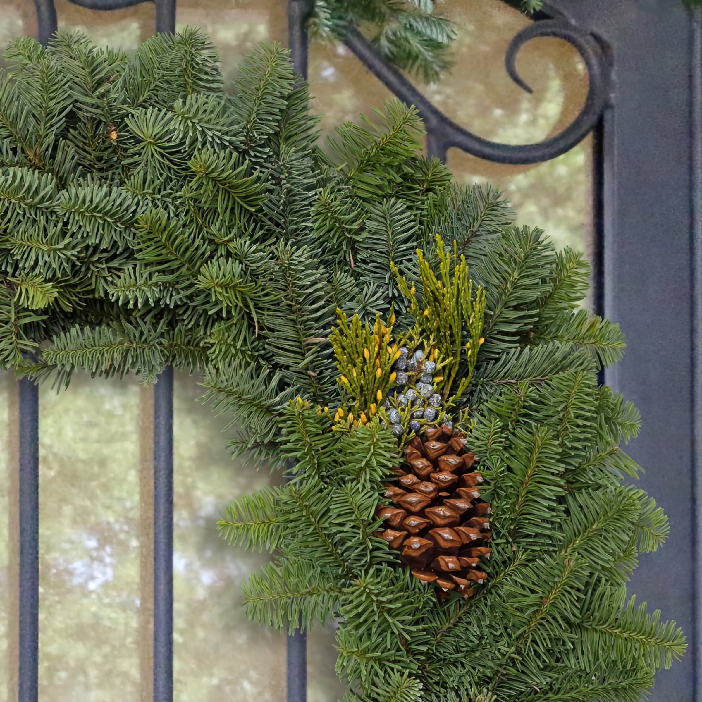 Cottage Farms Direct