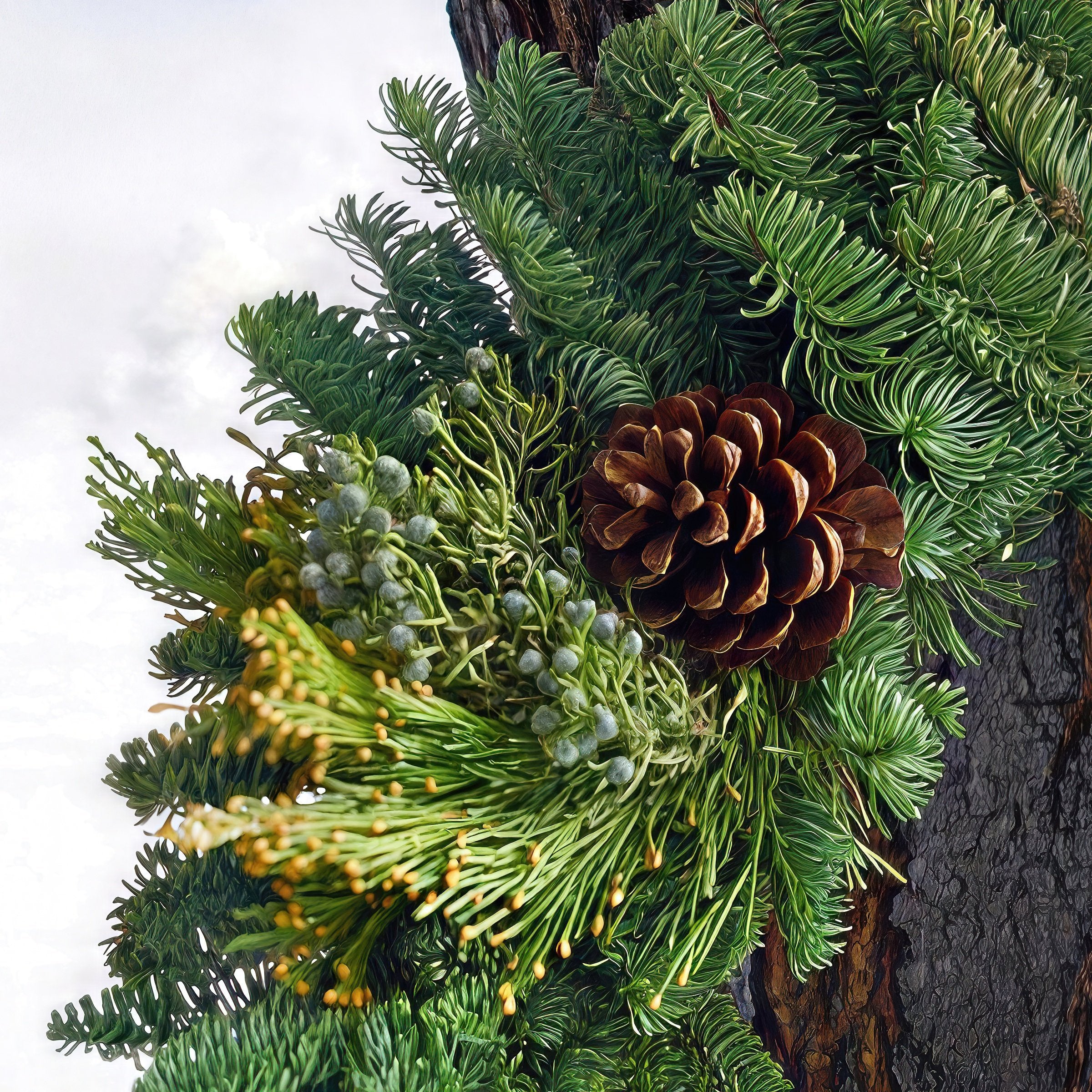 Cottage Farms Direct