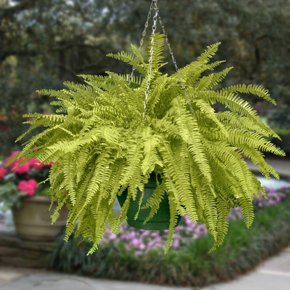 Products Cottage Farms Direct