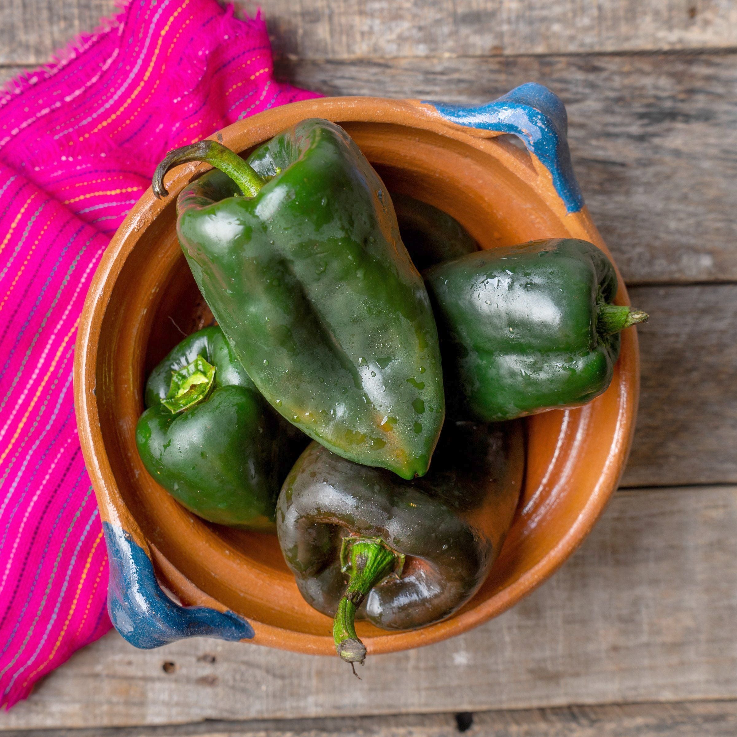 3-Piece Poblano Chile Pepper Plants - 2.5