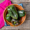 3-Piece Poblano Chile Pepper Plants - 2.5" pot