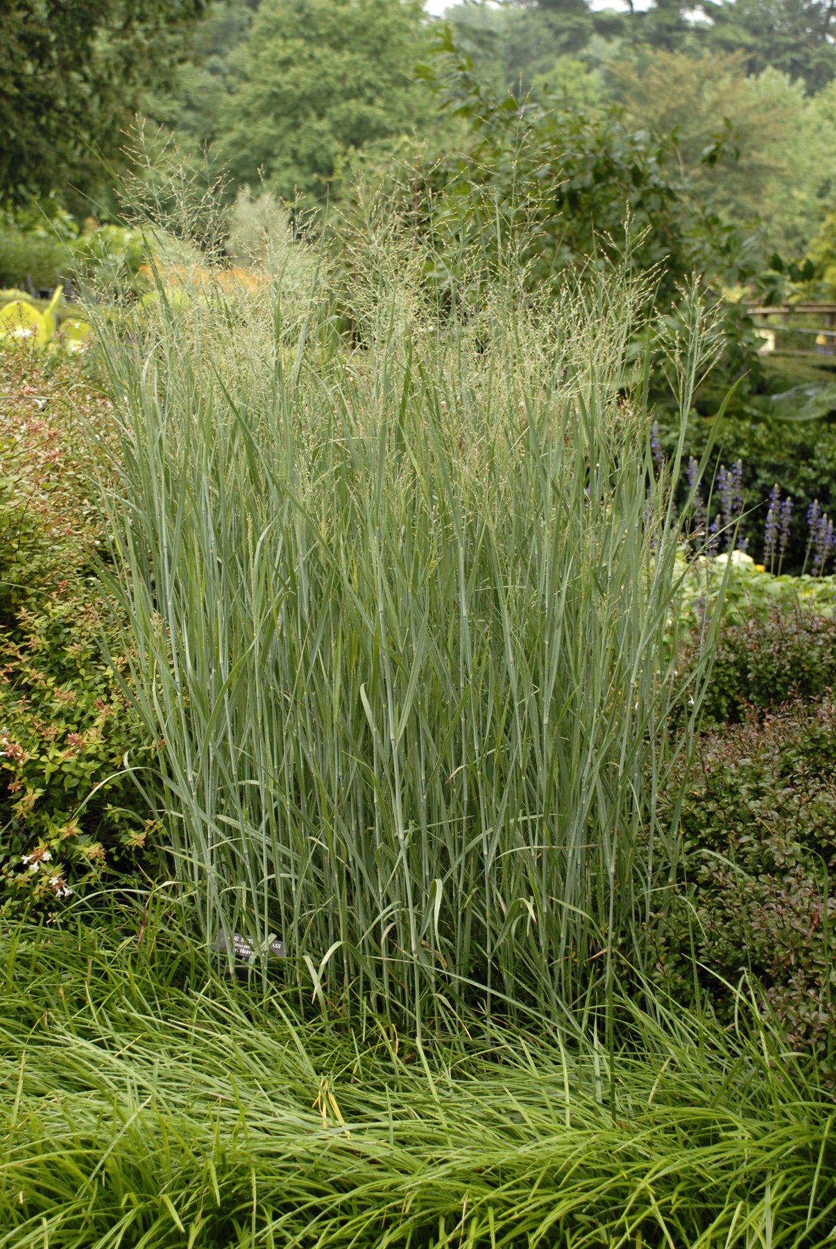 Cottage Farms Direct