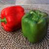 3-Piece Touchdown Chile Pepper Plants - 2.5" Pot
